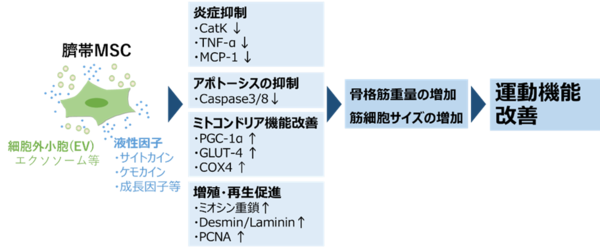 画像1.png