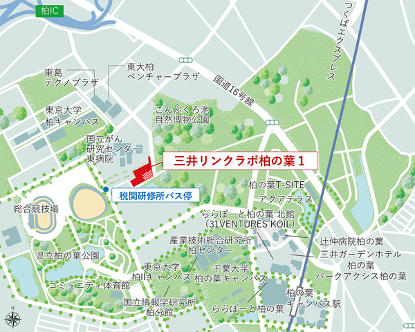 kashiwanoha_1.png