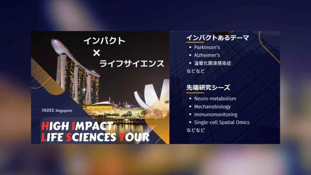 Impact_Tour2024_hor-1536x865.jpg