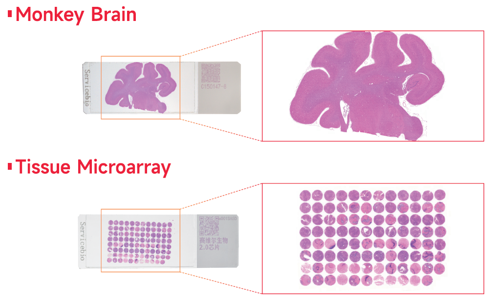ダイアグラム

AI 生成コンテンツは誤りを含む可能性があります。