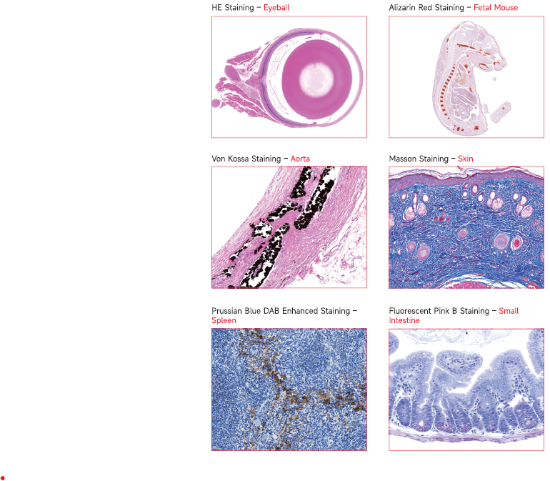 カレンダー

AI 生成コンテンツは誤りを含む可能性があります。