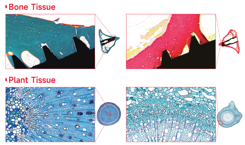 グラフィカル ユーザー インターフェイス が含まれている画像

AI 生成コンテンツは誤りを含む可能性があります。