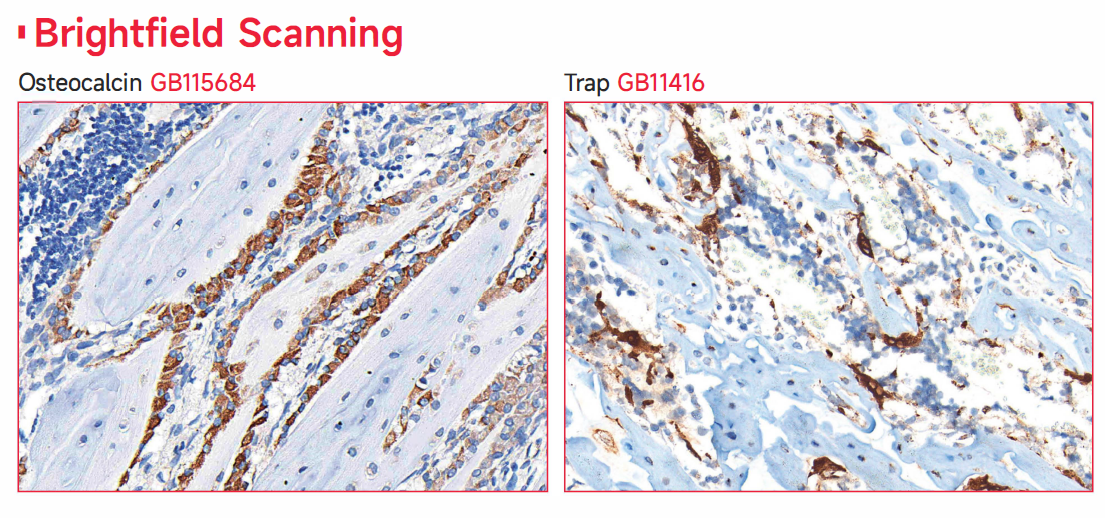 グラフ

AI 生成コンテンツは誤りを含む可能性があります。