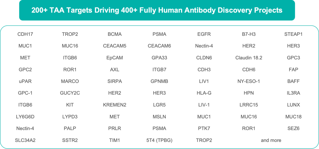 Biocytogen has generated a library of fully human antibodies targeting approximately 200 tumor-associated antigens (TAAs) using RenMice® platforms