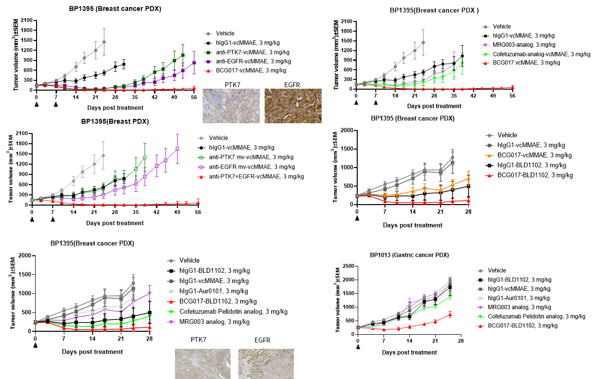 fig.1-1