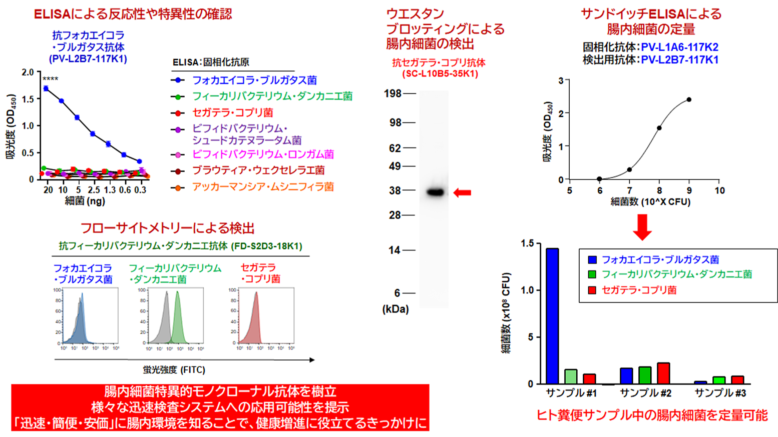 日本人に多い3種類の腸内細菌に対するモノクローナル抗体を樹立！ | 人