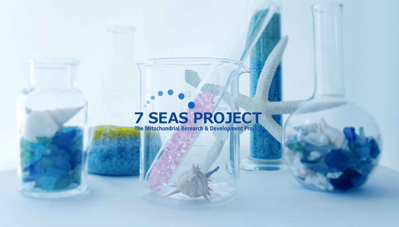 7SP Research Meeting 2018