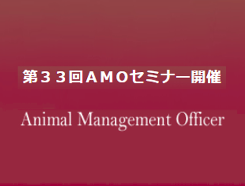 第33回AMOセミナー