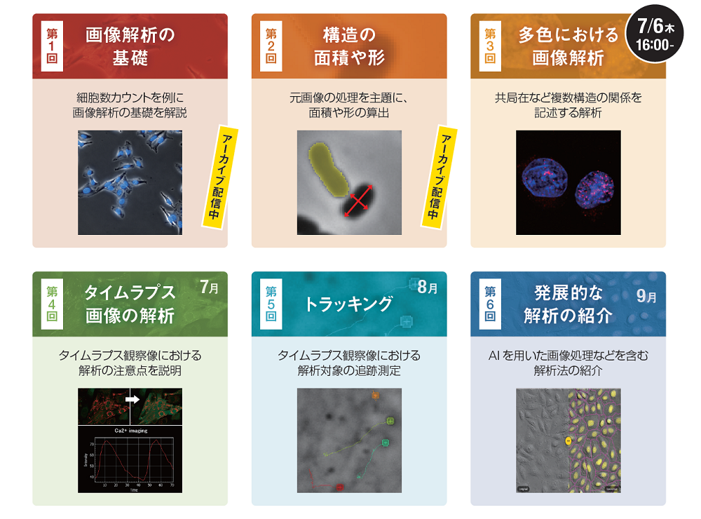 オンラインセミナー「今さら聞けない！？画像解析の基本のはなし」