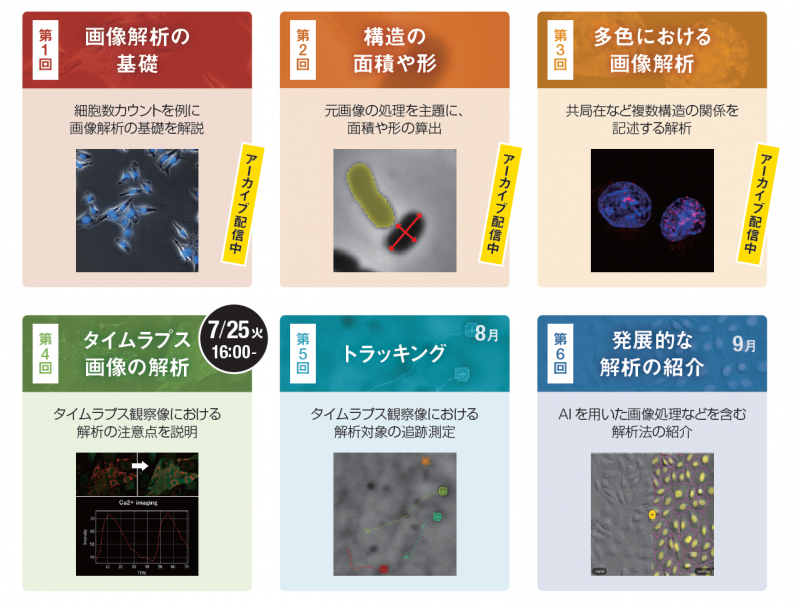 オンラインセミナー「今さら聞けない！？画像解析の基本のはなし」