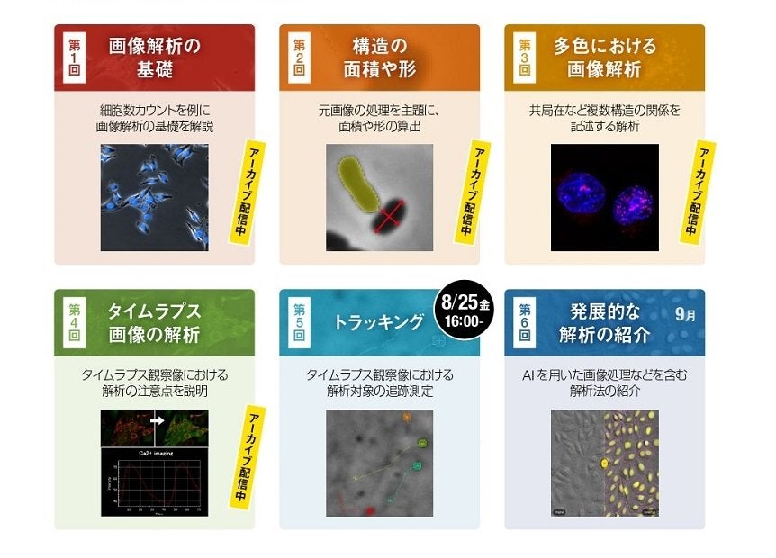 オンラインセミナー「今さら聞けない！？画像解析の基本のはなし」