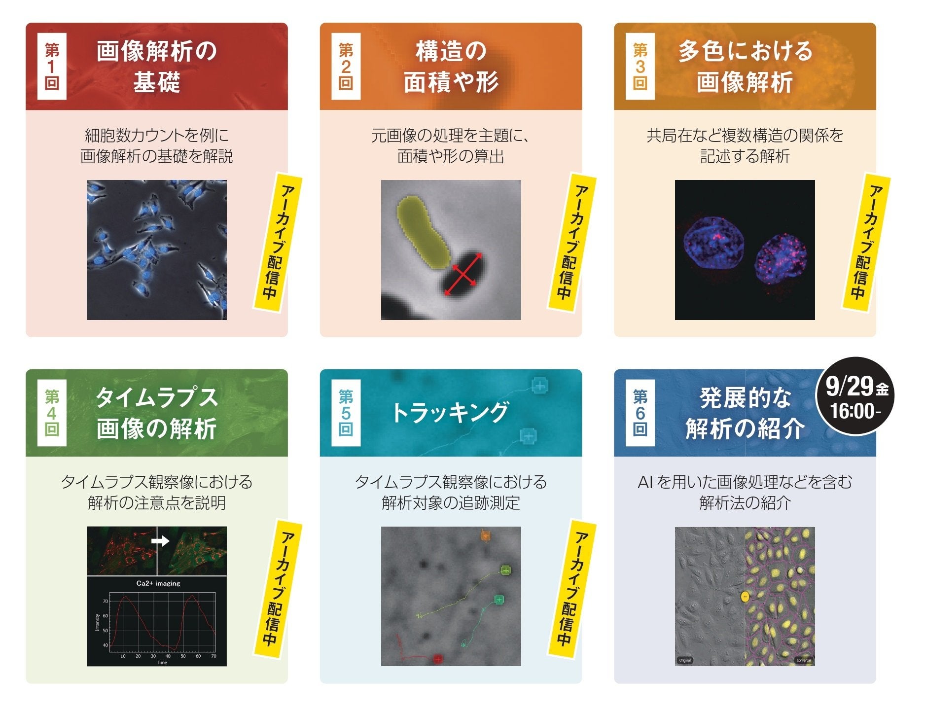 オンラインセミナー「今さら聞けない！？画像解析の基本のはなし」
