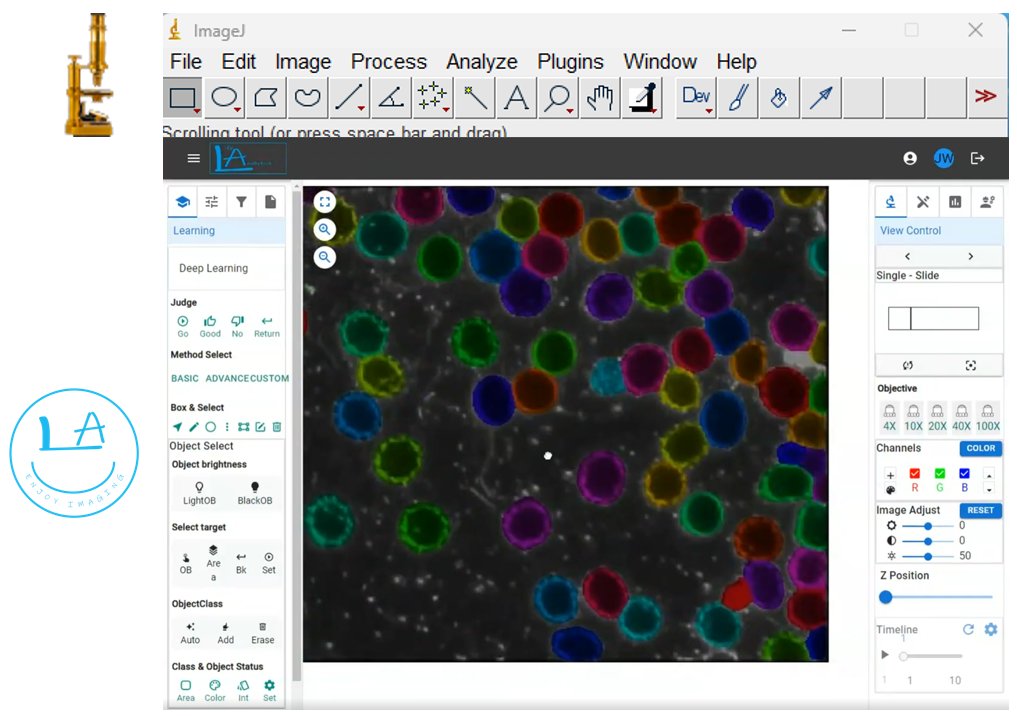ImageJ＆統合解析IAS無料セミナーと解析ご相談会