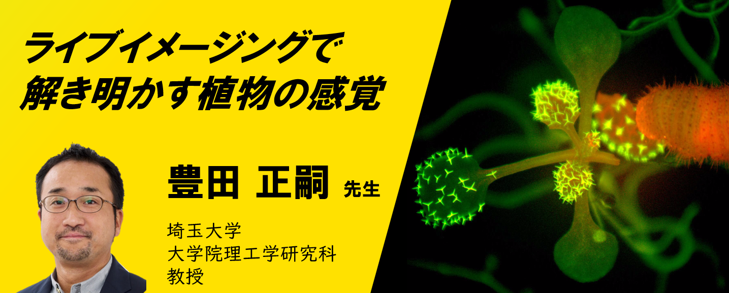 『受賞者の今』NIKON JOICO AWARDシリーズウェビナー第2回：ライブイメージングで解き明かす植物の感覚