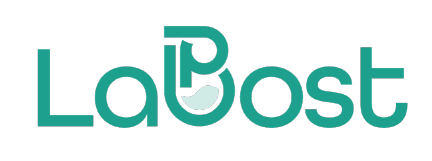 LaBost Inc.