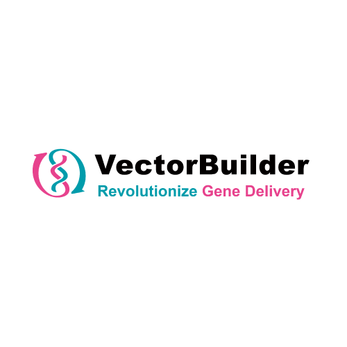 VectorBuilder Inc.