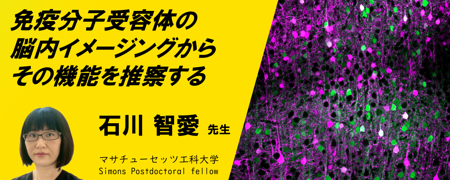『受賞者の今』NIKON JOICO AWARDシリーズウェビナー第3回：免疫分子受容体の脳内イメージングからその機能を推察する