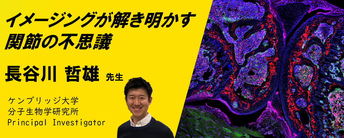 イメージングが解き明かす関節の不思議：『受賞者の今』NIKON JOICO AWARDシリーズウェビナー第4回