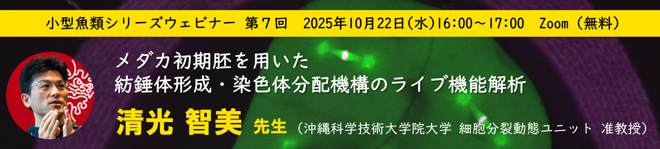 メダカ初期胚を用いた紡錘体形成・染色体分配機構のライブ機能解析：小型魚類シリーズウェビナー第7回