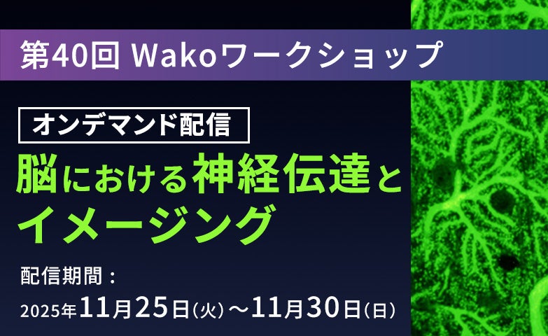 【オンデマンド配信】第40回 Wakoワークショップ 「脳における神経伝達とイメージング」