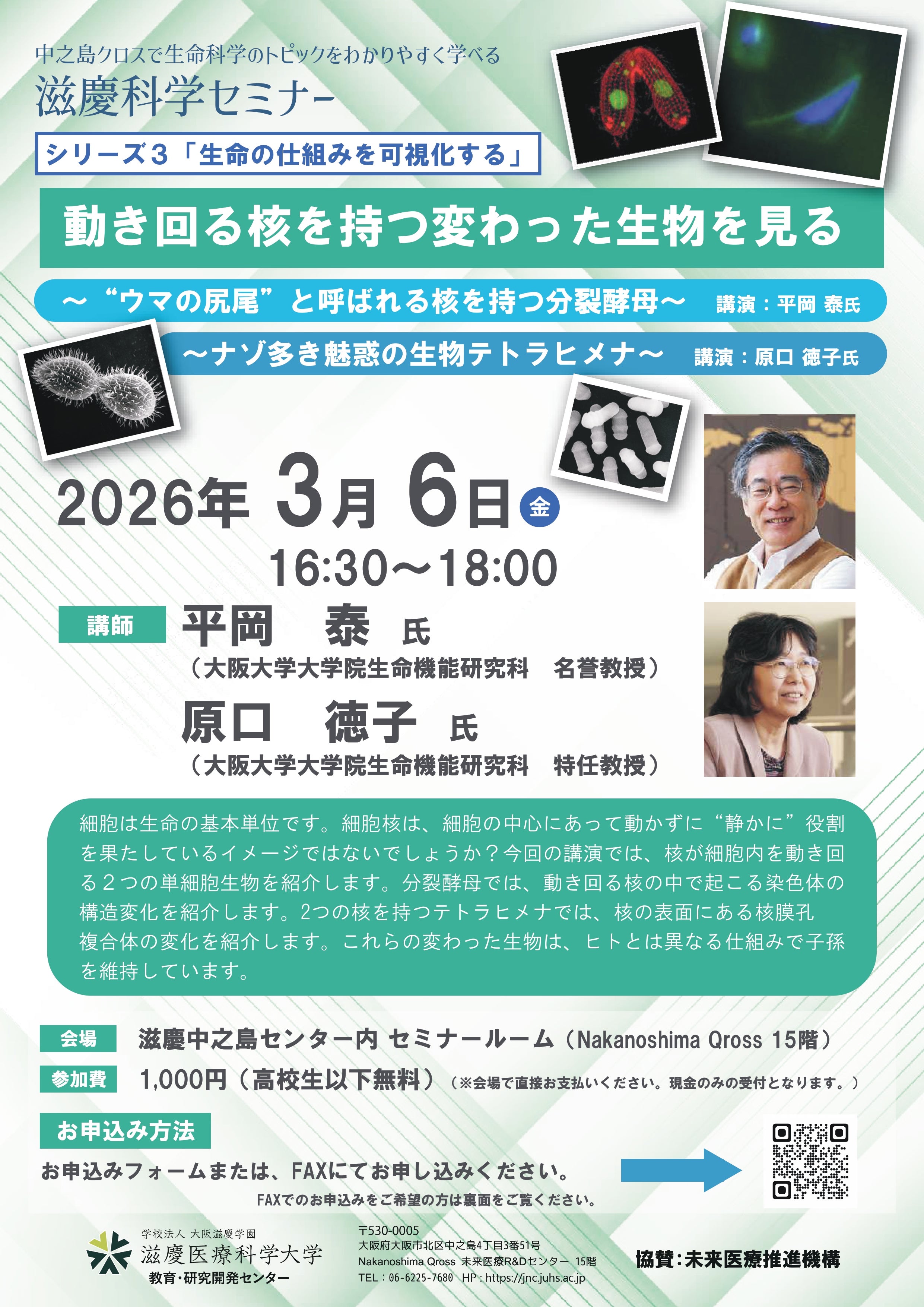 【生命の仕組みを可視化する】動き回る核を持つ変わった生物を見る