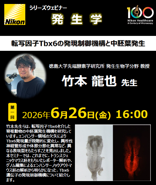 【新シリーズウェビナー「発生学」第1回　6月26日（金）開催！】：転写因子Tbx6の発現制御機構と中胚葉発生